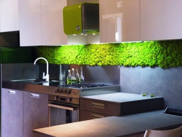 Creative Home Decor: Moss Wall