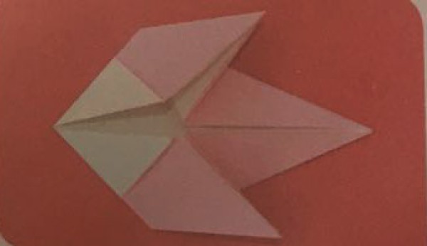 How to make origami pigeons by primary school students