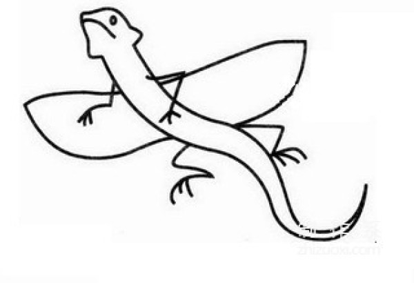 Learn to draw simple drawings, lizards