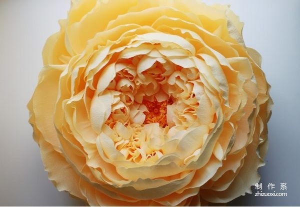 Appreciation of pictures of flowers blooming on paper, paper art flower handicrafts