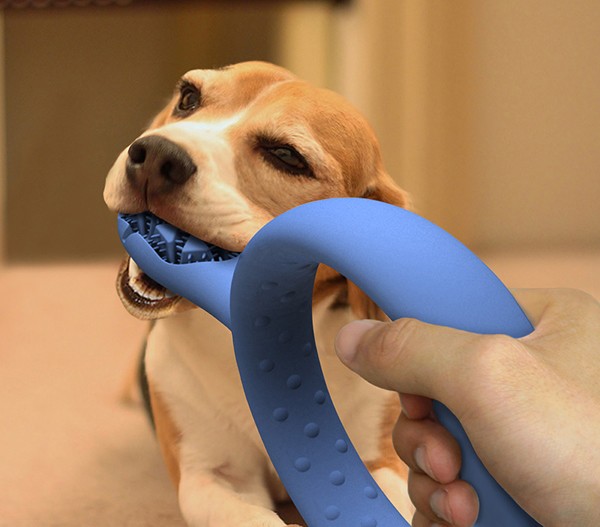 dog toothbrush