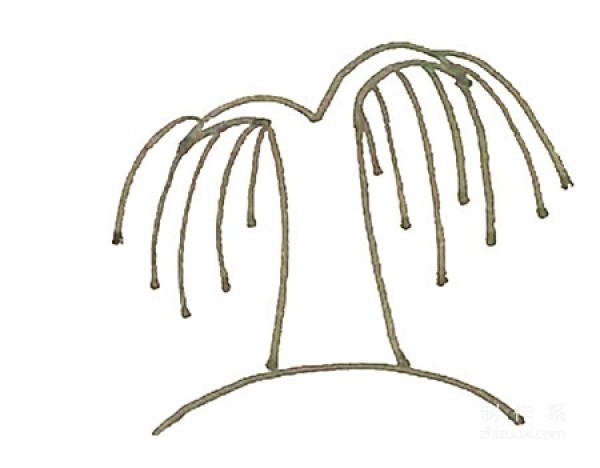 Learn to draw simple drawings, color simple drawings of willow trees