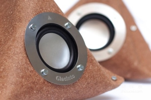 DIY Creative Leather Speaker (DIY Giacinto)