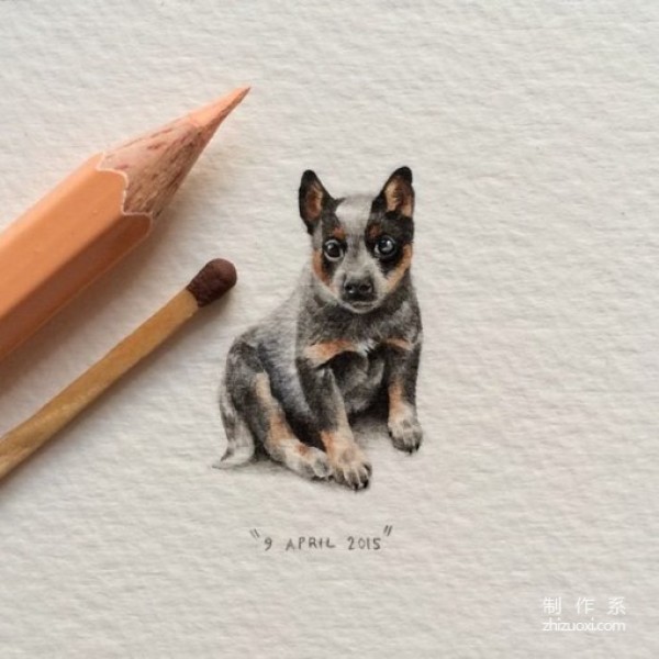 Some fresh, delicate and cute hand-painted illustrations of small animals