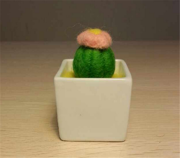 Appreciation of the cute cactus works made by DIY with handmade wool felt