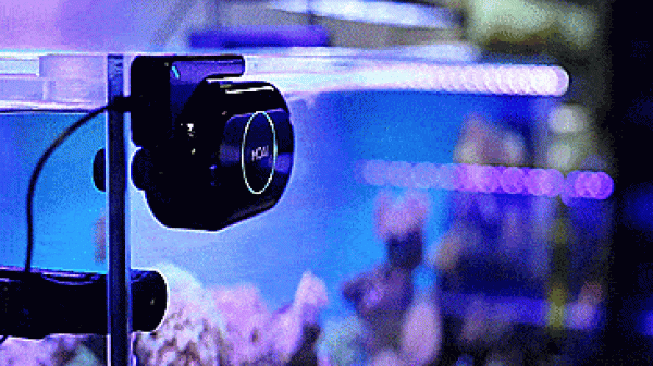 Remote-controlled automatic fish tank cleaning robot