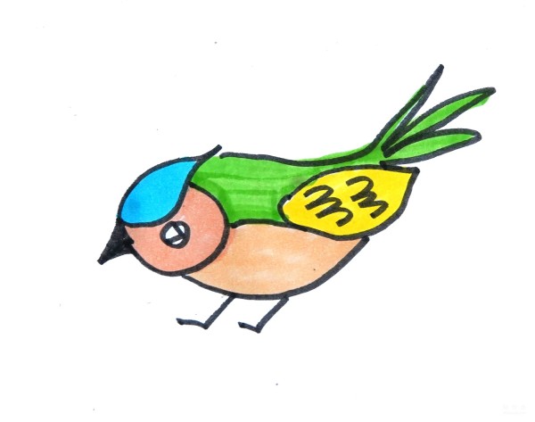 Learn to draw simple drawings, colorful birds