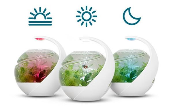 Automatic fish tank purification Avo