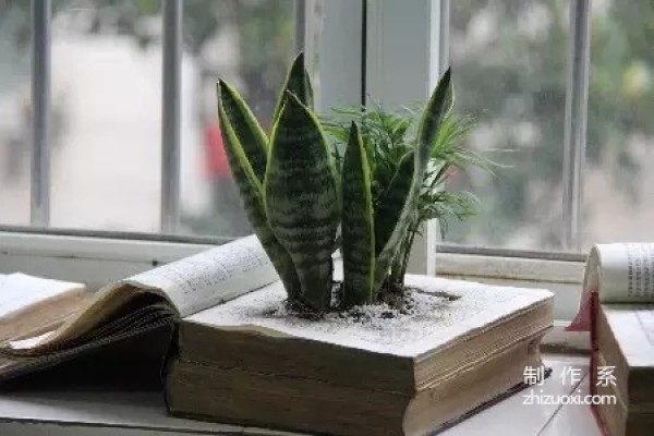 Turning waste into treasure, she turned the garbage at home into the most beautiful decorations!