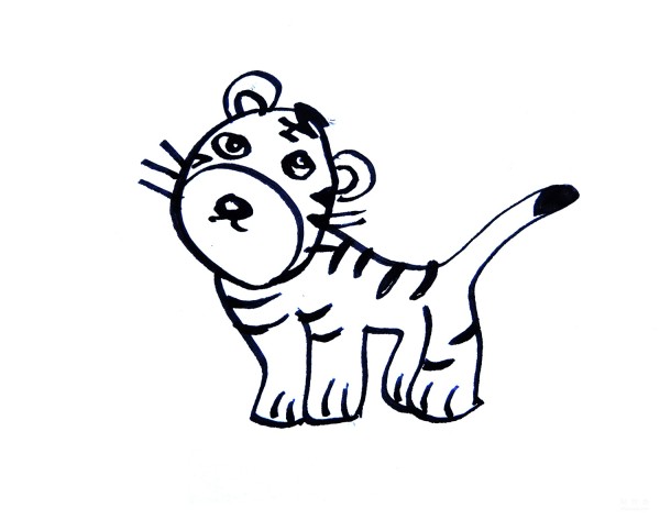 Learn to draw simple drawings of cute little tigers