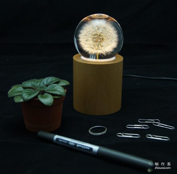 Cute dandelion ambient light