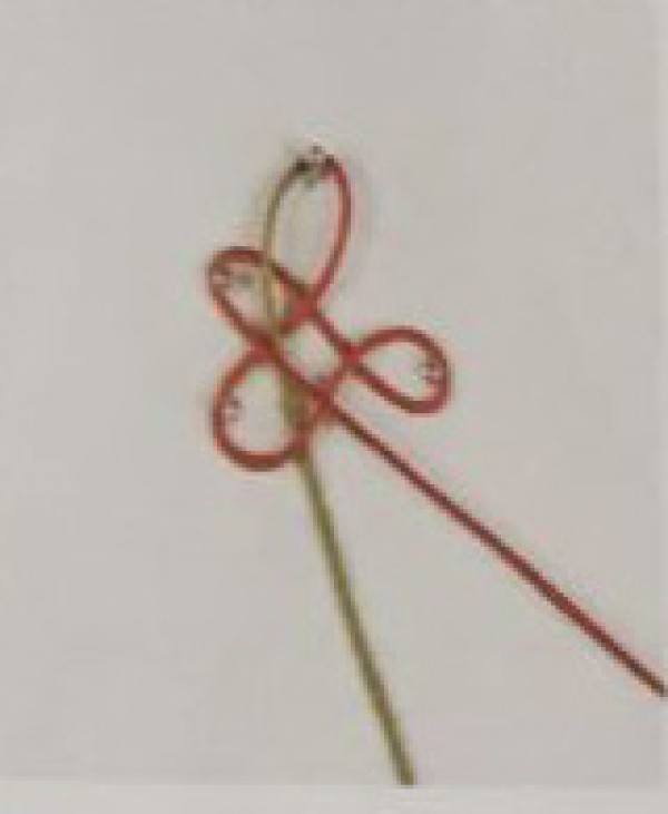 Illustration of basic knot of six-ear tuanjin knot