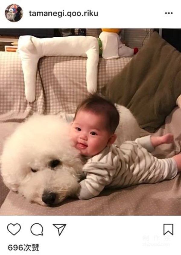 So cute! A 1-year-old girl and three dogs sleep together, eat together, and wear the same clothes...