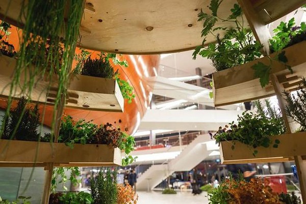 IKEA: 20 wooden boards create a creative indoor garden