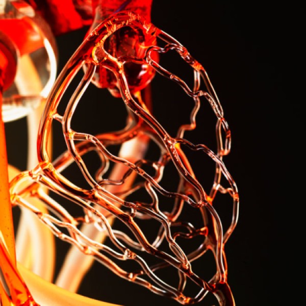 Realistic glass blood vessel model works