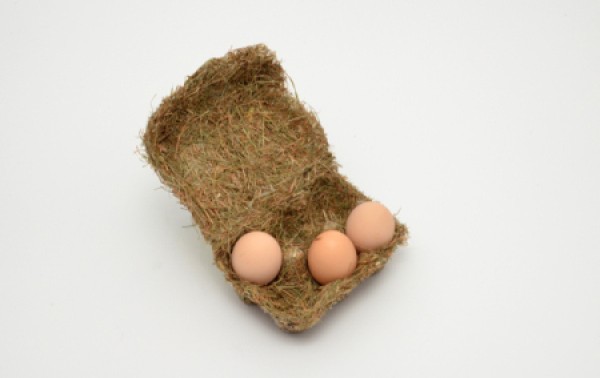 Alternative hay egg cartons