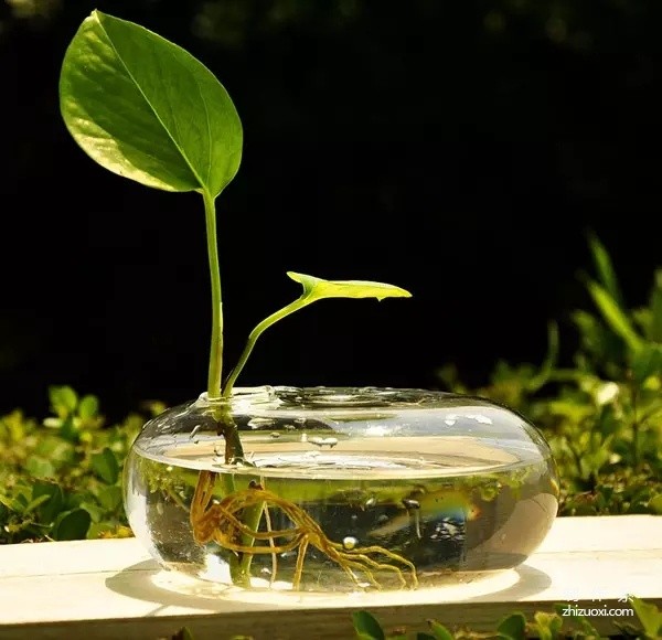 Turning waste into treasure, she turned the garbage at home into the most beautiful decorations!