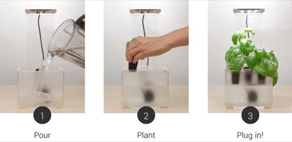 FogBox atomizer cultivation box that does not require soil