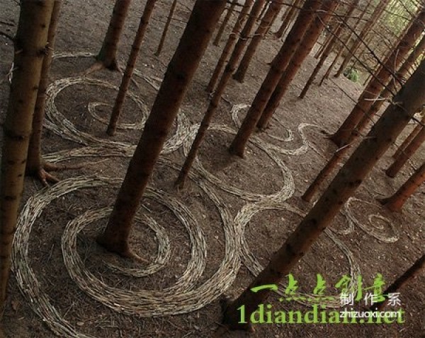 Graphic creative art design created with natural elements