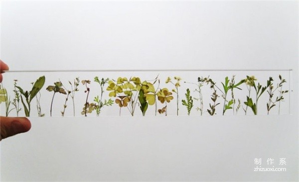 Poetic Garden Ruler