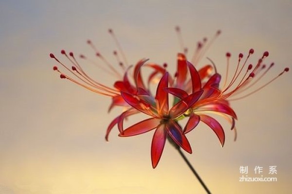 Exquisite dreamy flower hairpin