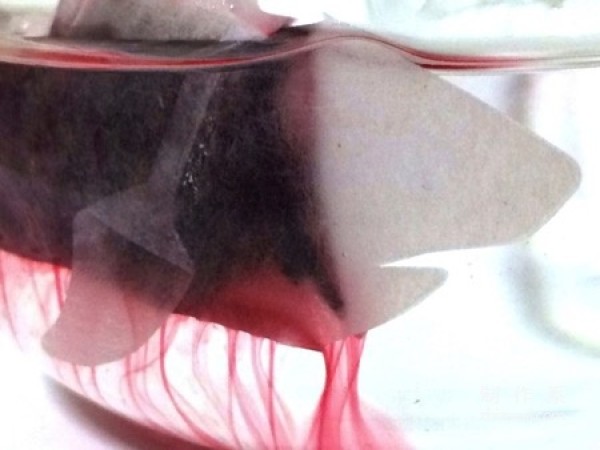 Blood Shark Creative Tea Bag