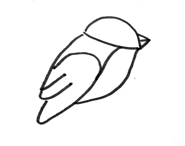 Learn to draw a simple drawing of a bird wearing a scarf