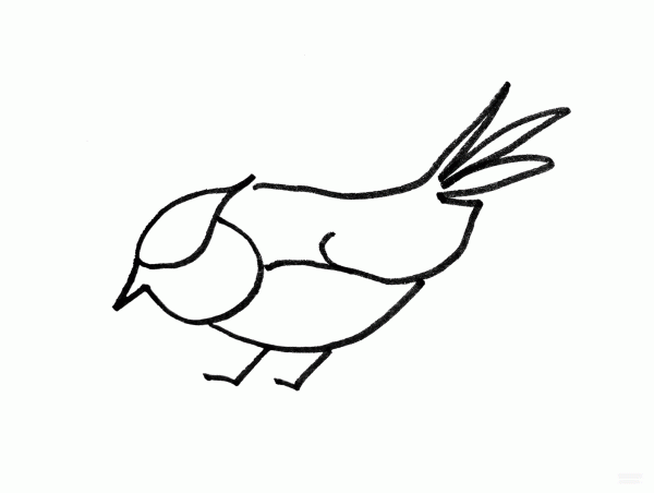 Learn to draw simple drawings, colorful birds