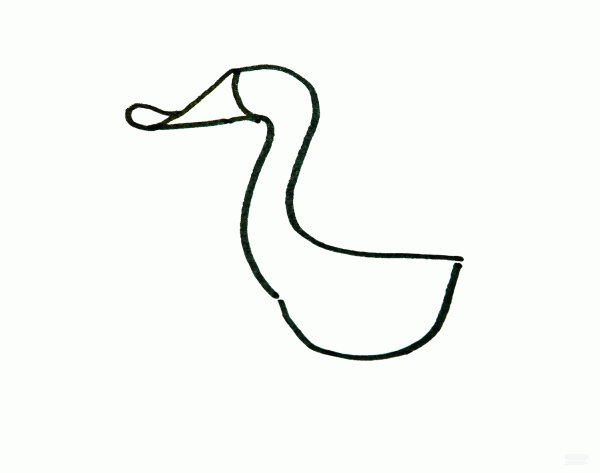 Learn to draw a simple drawing, a little duck with a flat mouth