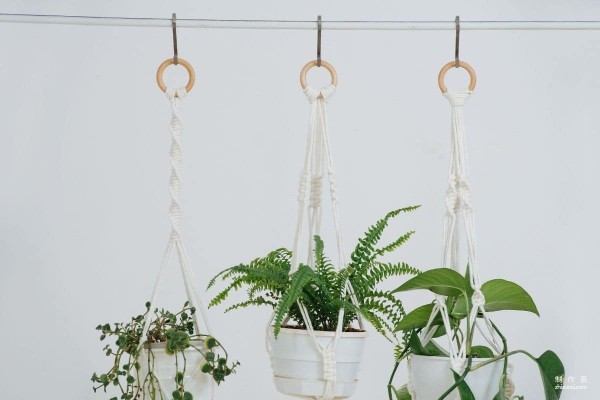 18 ways to hang plants, the art of small space gardening~