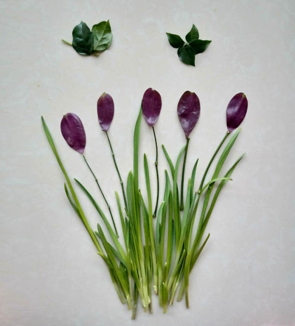 Beautiful and simple handmade method of pasting orchids and butterflies on leeks