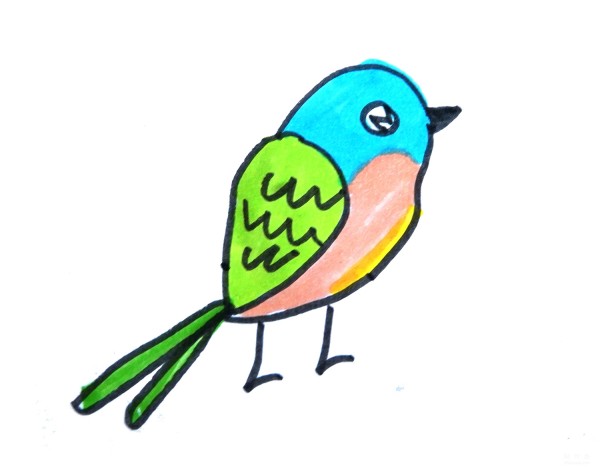 Learn to draw simple strokes, simple drawing methods of colorful birds