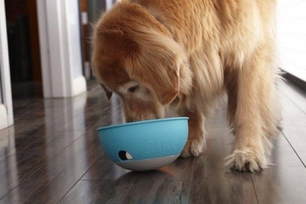 Fun dog food feeder