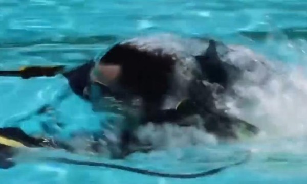 Guy makes jet swimming equipment and instantly becomes a master swimmer after putting it on