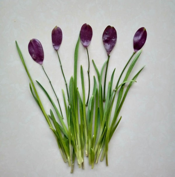 Beautiful and simple handmade method of pasting orchids and butterflies on leeks