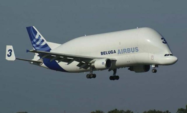 The super-giant transport plane known as the Great White Whale can swallow a Boeing passenger plane