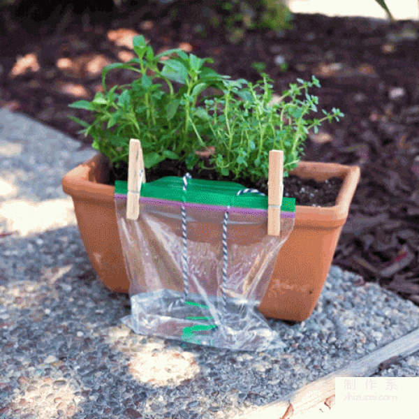 Lets use the siphon principle to make an automatic flower waterer! Small science experiment on automatic flower watering device based on water siphon principle