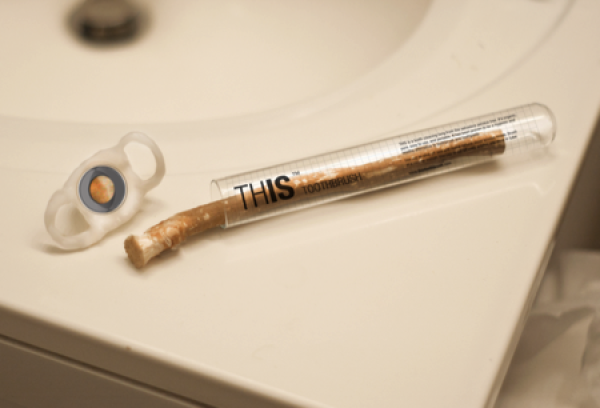 Funny branch toothbrush