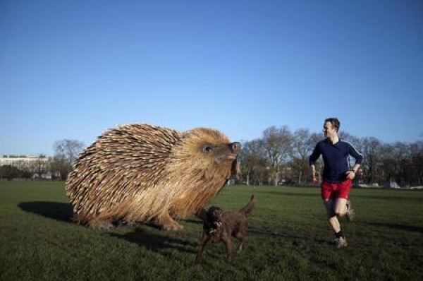 Realistic hedgehog sculpture in Londons Cliven Park