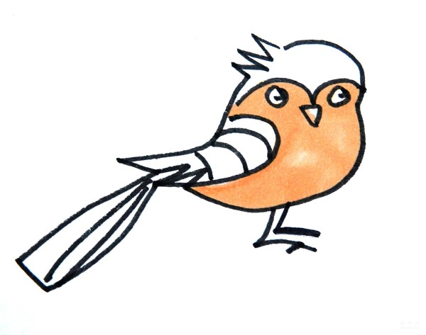 Learn to draw simple strokes, a simple way to draw a blue-tailed bird