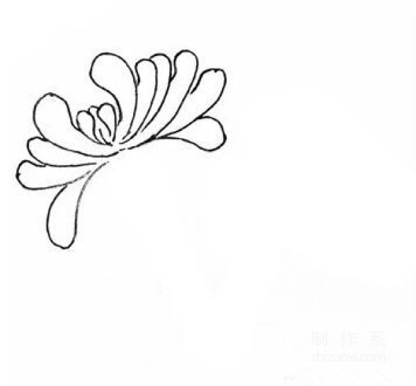 Learn to draw simple drawings, chrysanthemums during Double Ninth Festival