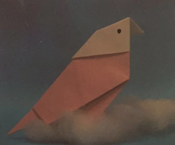 How to make origami pigeons by primary school students