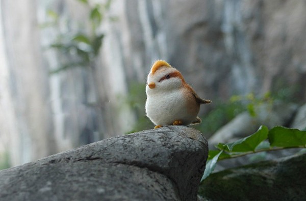 Appreciation of wool felt handmade DIY bird products in the mountains