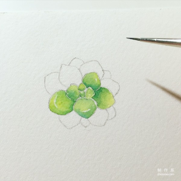 Teach you how to draw succulents in ten minutes watercolor tutorial is here~