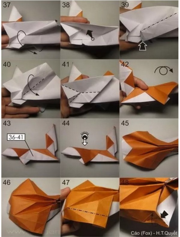 Fox and turtle animal origami, complete collection of office origami illustrations