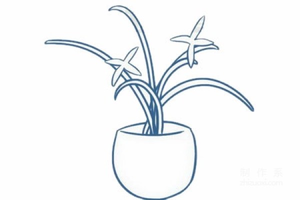 Learn to draw simple drawings, simple drawings of orchids