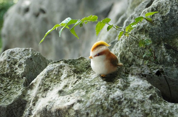 Appreciation of wool felt handmade DIY bird products in the mountains