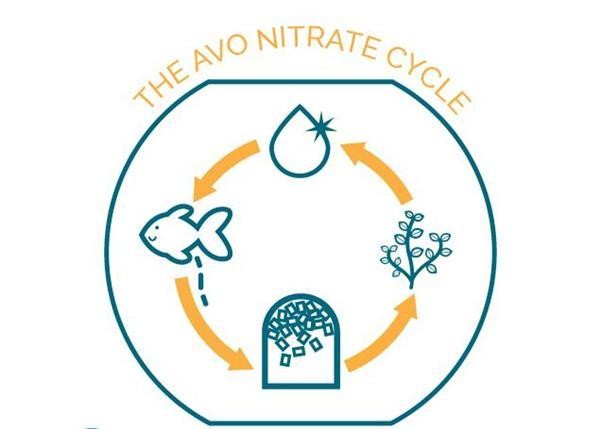 Automatic fish tank purification Avo