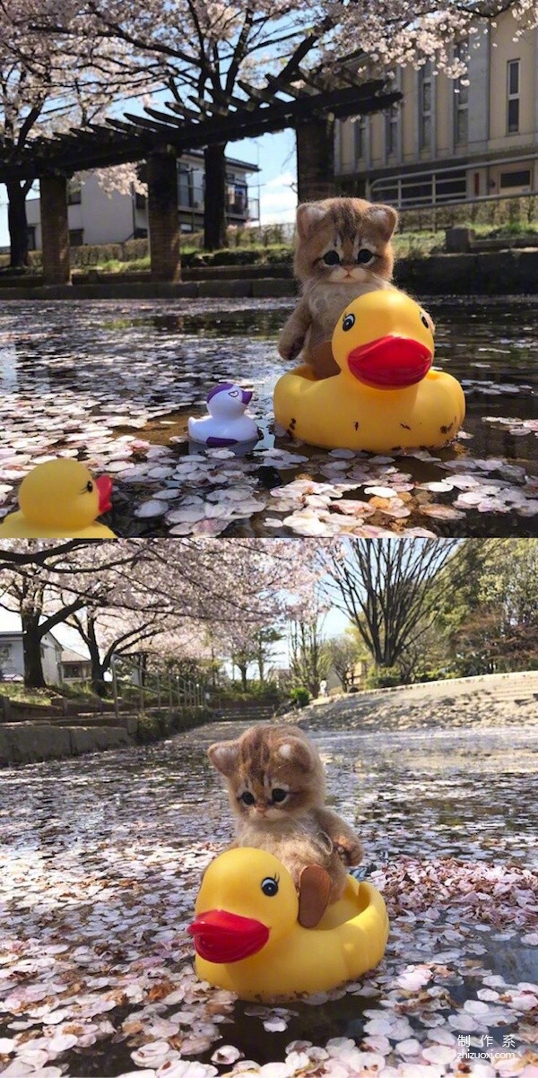 Wool felt kittens and puppies made by Japanese handicraft experts