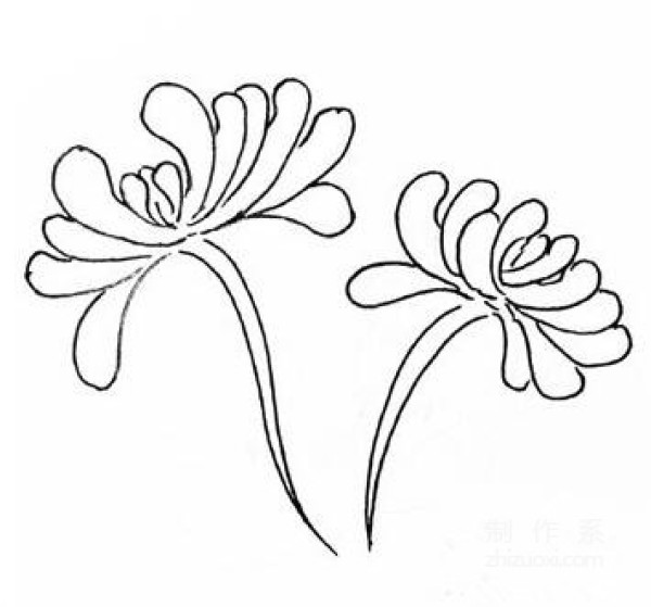 Learn to draw simple drawings, chrysanthemums during Double Ninth Festival